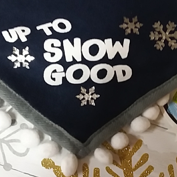 💞Free in a Bundle 🐕-Pet Bandana- AKC APC - Picture 3 of 12